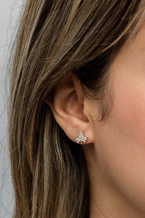 Heliophilia Silver NRZ999489 Pendientes de Plata de Ley 925 con Baño de Oro Rosa y Circonita - Accesorio Elegante y Sofisticado para Mujer